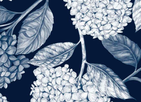 HYDRANGEA Chemise